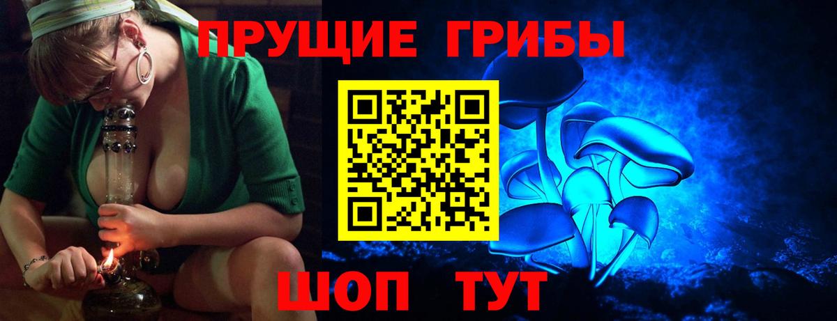 Галлюциногенные грибы прущие грибы  Вход с VPN  Братск 